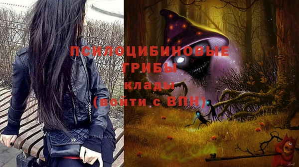 гидра Баксан