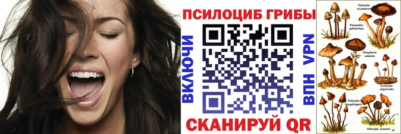 Псилоцибиновые грибы MAGIC MUSHROOMS  Купить закладки  Ивдель 